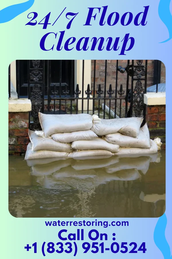 24/7 Flood Cleanup in Ocean Pointe, HI