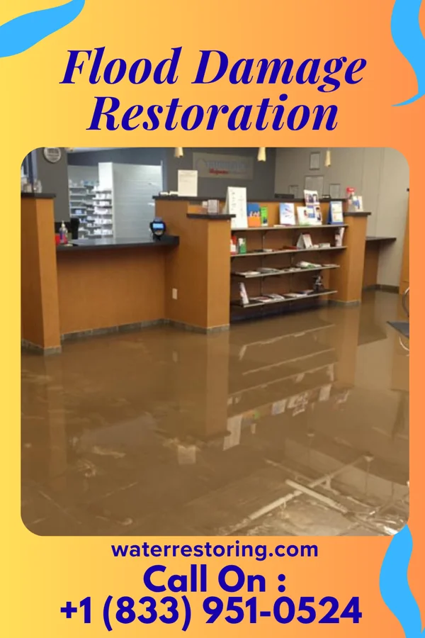 Flood Damage Restoration in Ocean Pointe, HI