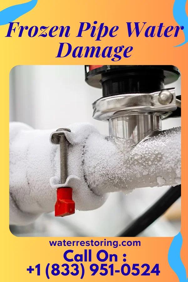 Frozen Pipe Water Damage in Ocean Pointe, HI