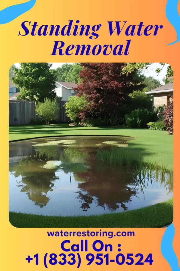 Standing Water Removal in Ocean Pointe, HI
